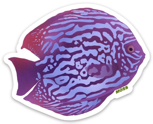 Discus Sticker