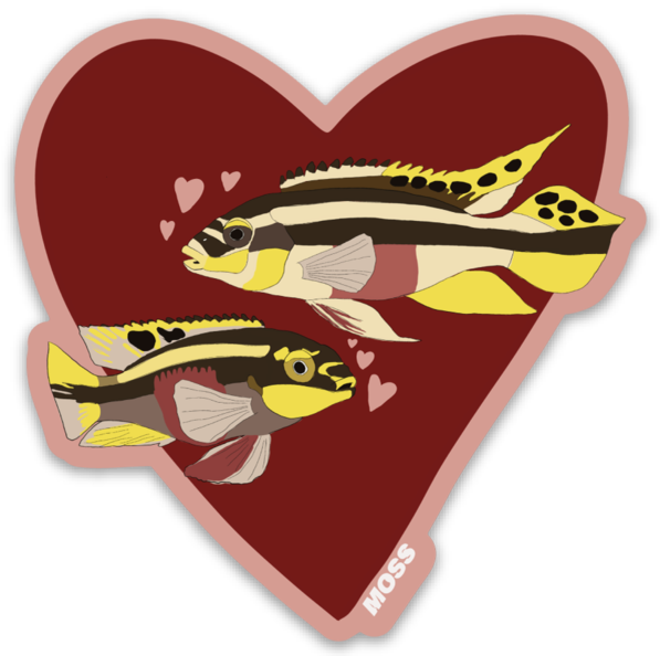 Love Kribs Sticker
