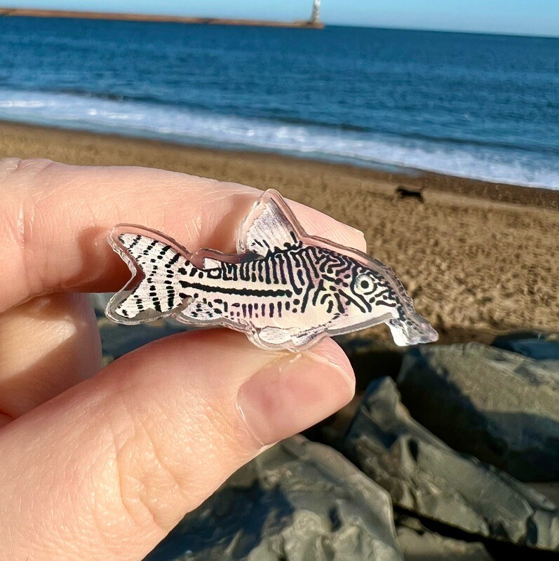 Leopard Corydoras Acrylic Pin Badge