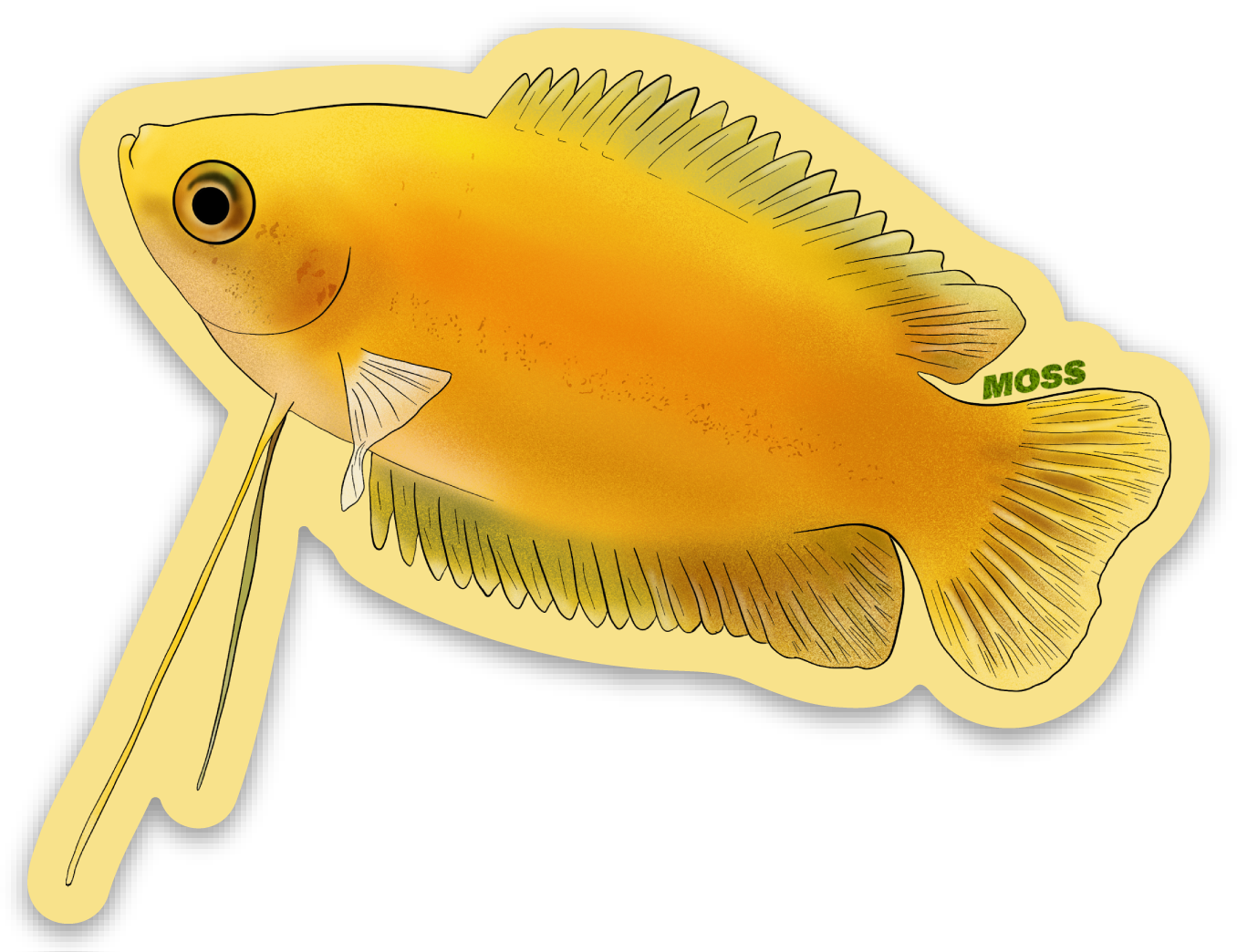 Honey Gourami Sticker
