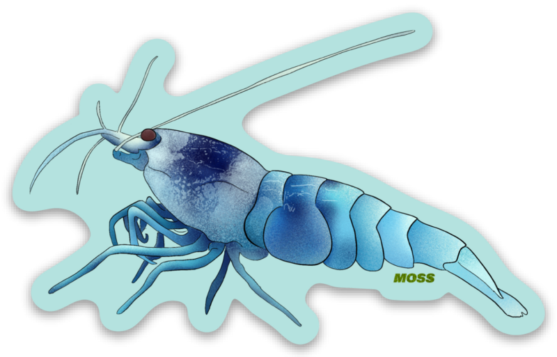Blue Bolt Shrimp Sticker