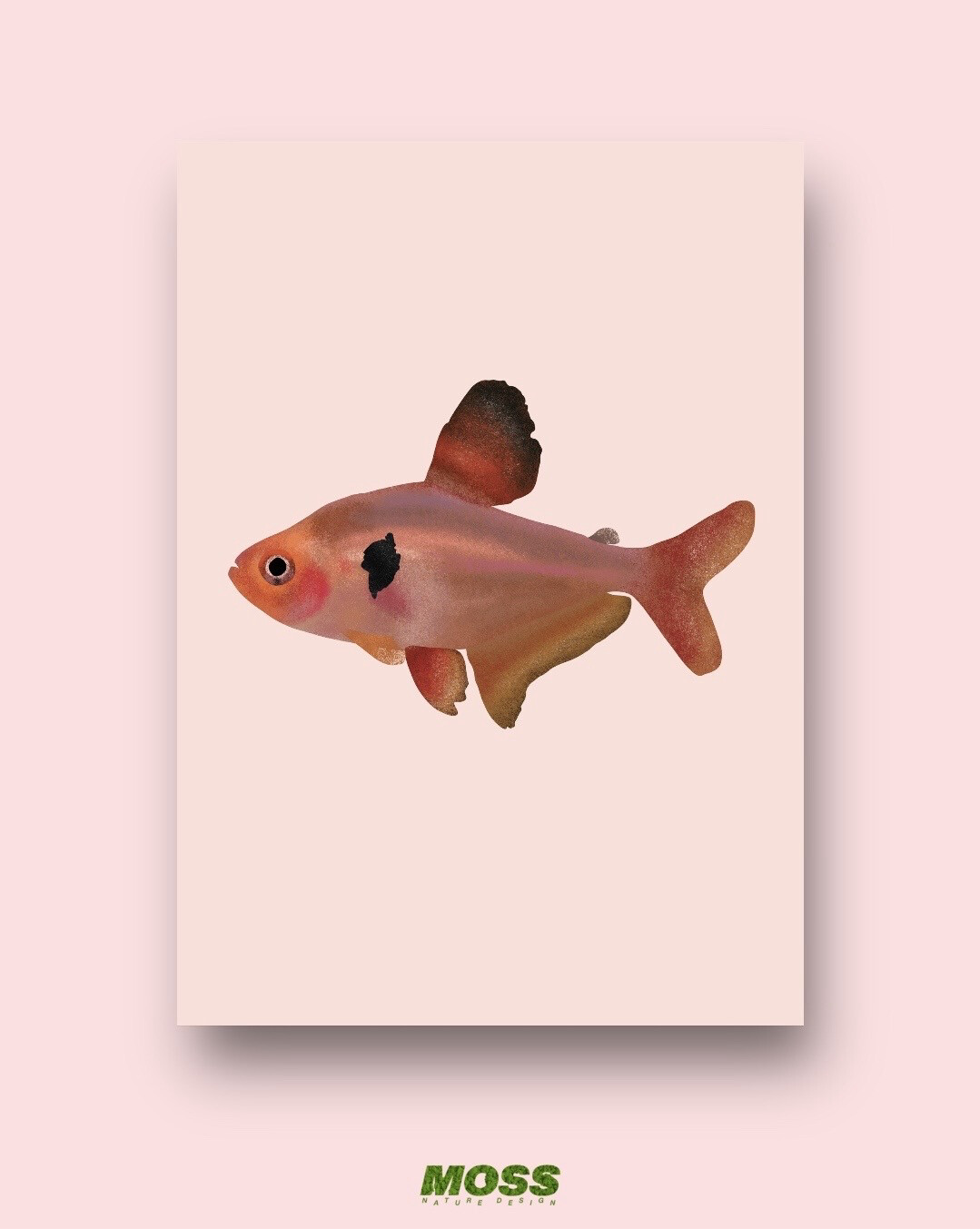 Serpae Tetra A3 print