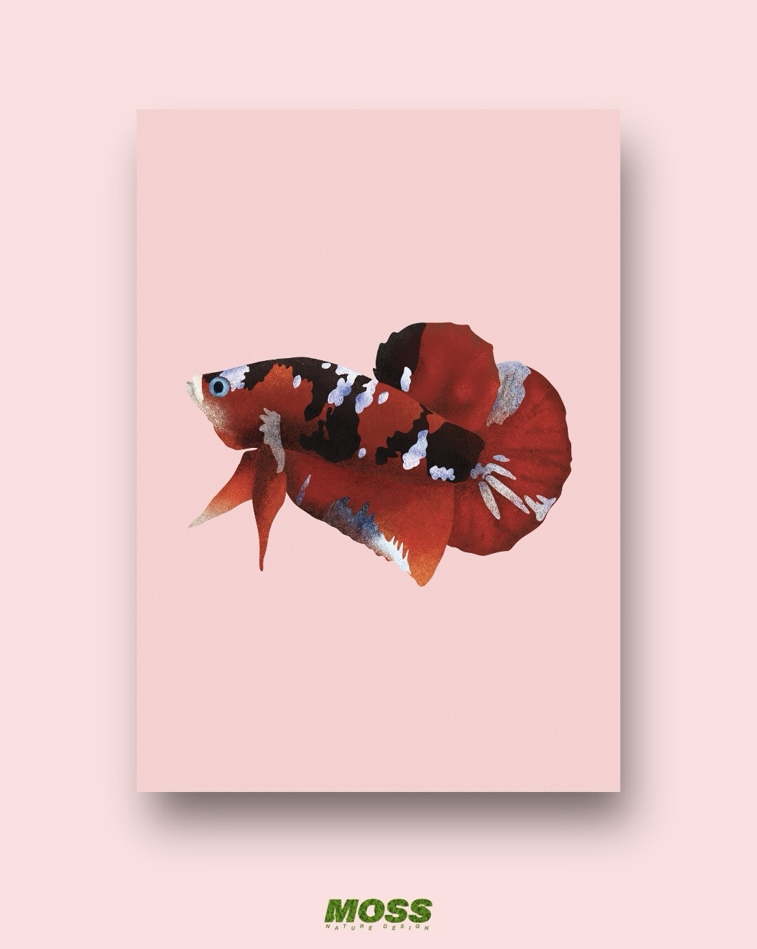 Koi Betta A3 Print