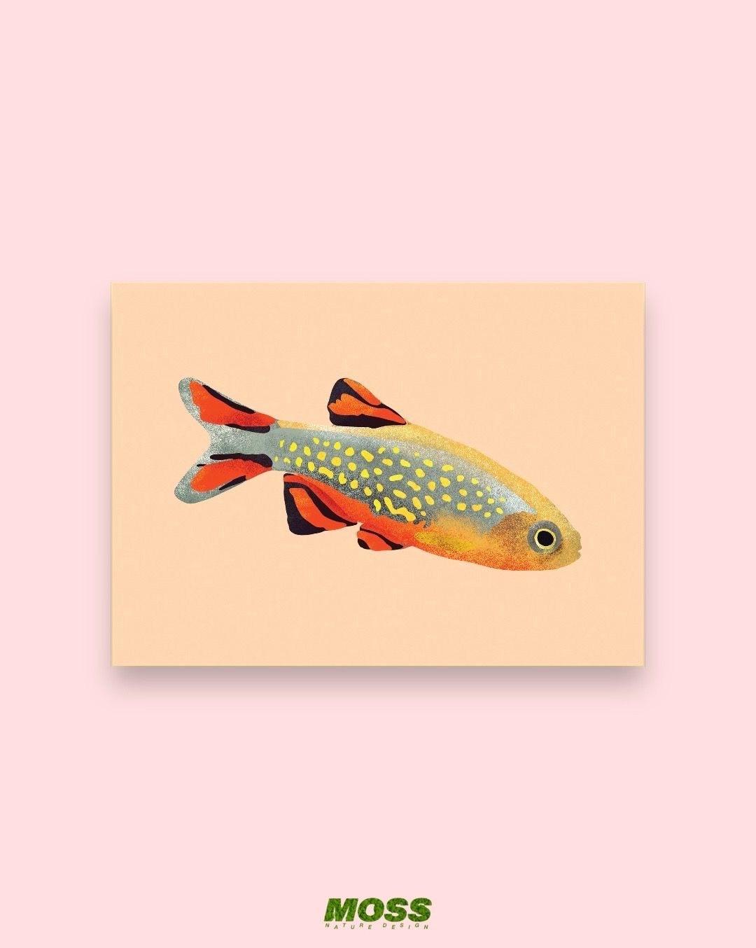 Celestial Pearl Danio A6 Print