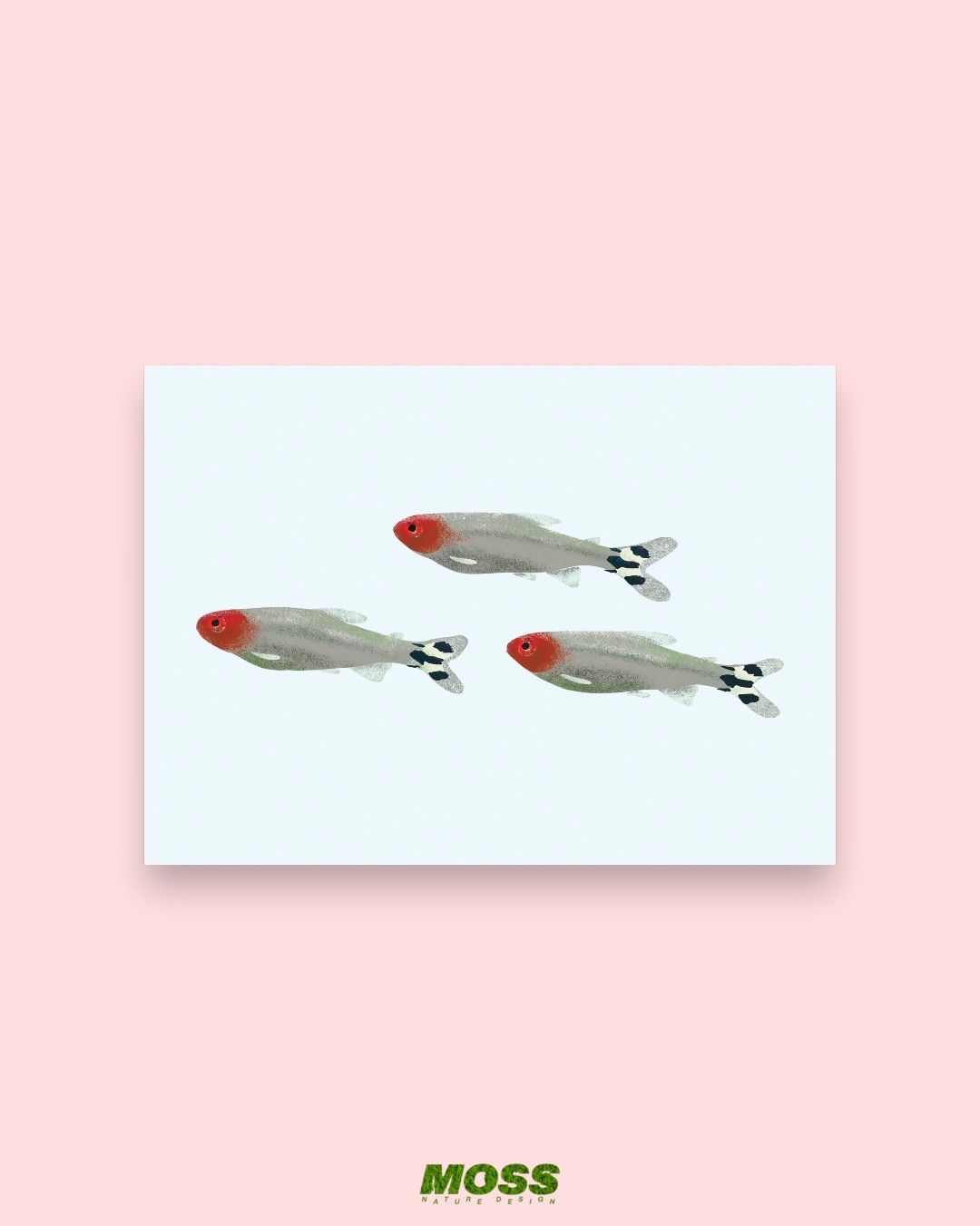 Rummy Nose Tetra A6 Print