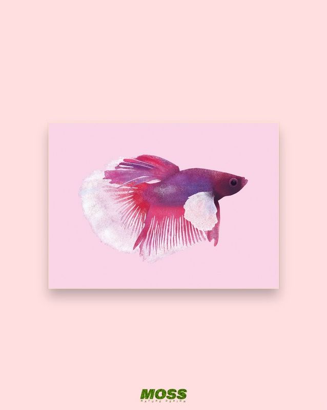 Dumbo Betta A6 Print
