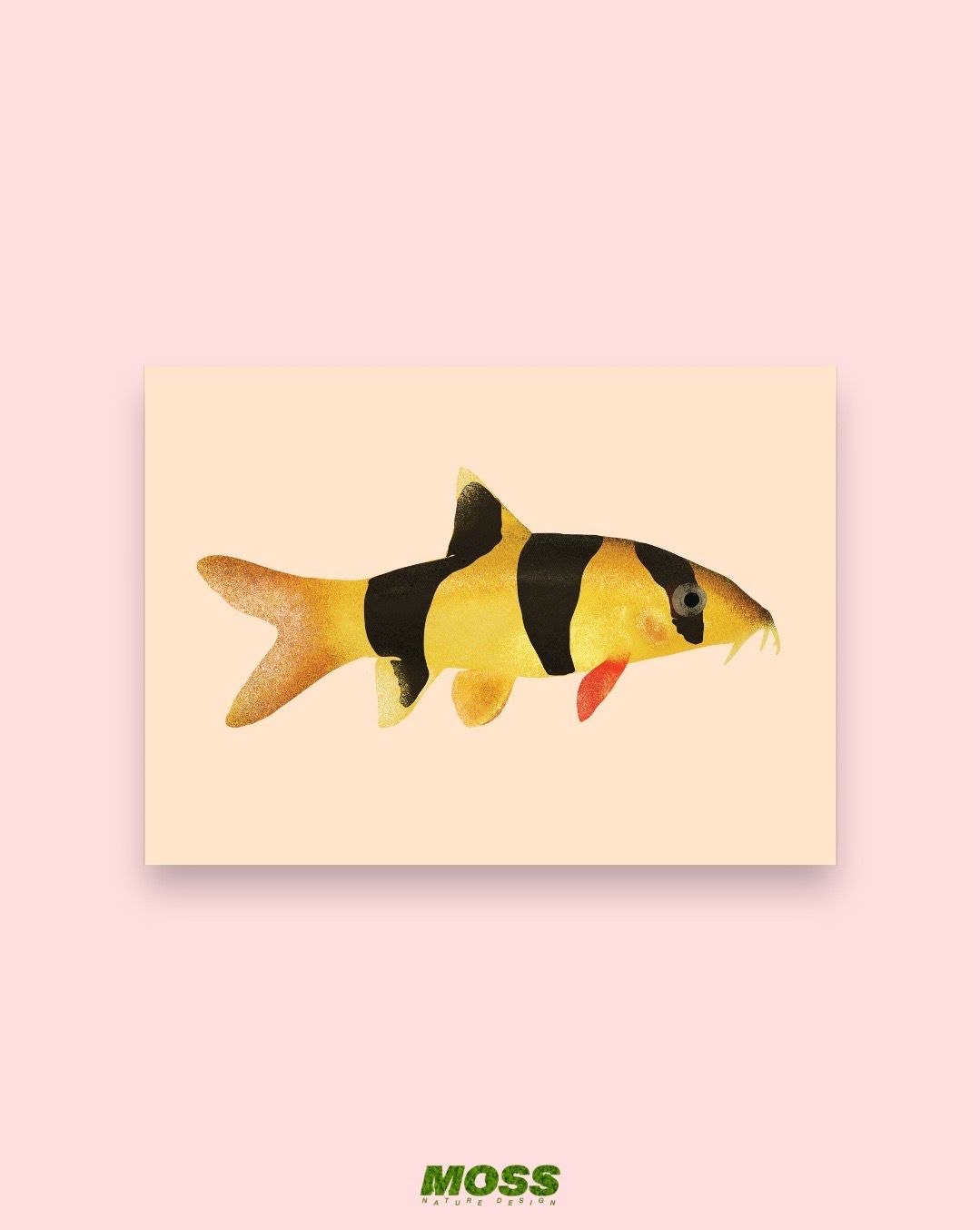 Clown Loach A6 Print