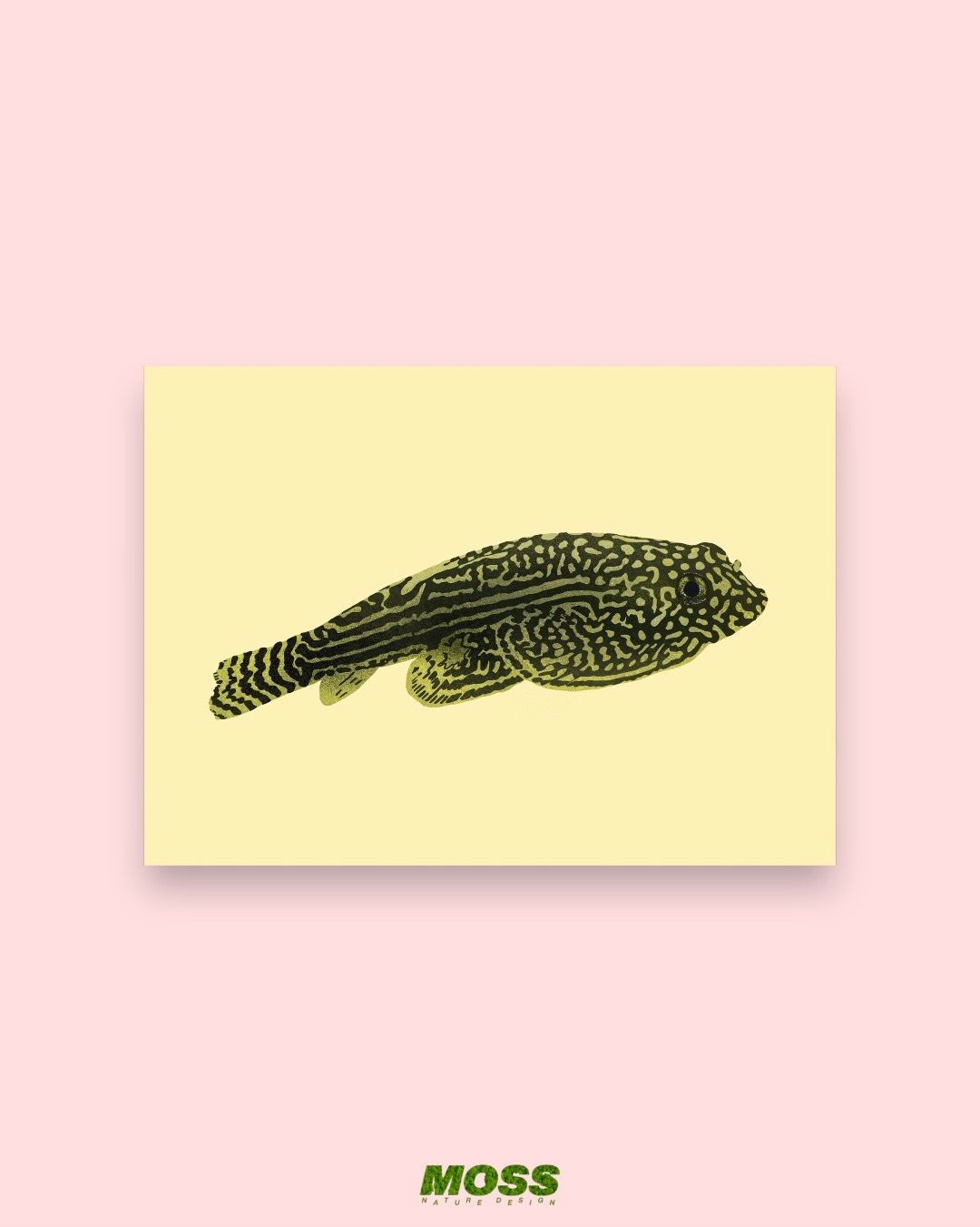 Hillstream Loach A6 Print