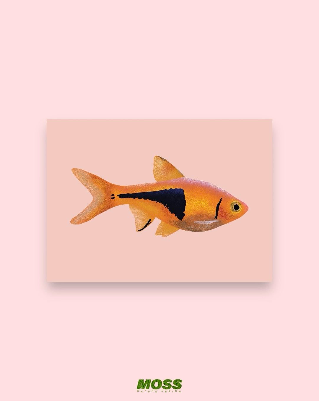 Harlequin Rasbora A6 Print