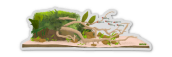 Car Window Aquascape Sticker