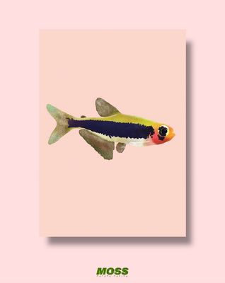 Tucano Tetra A3 Print