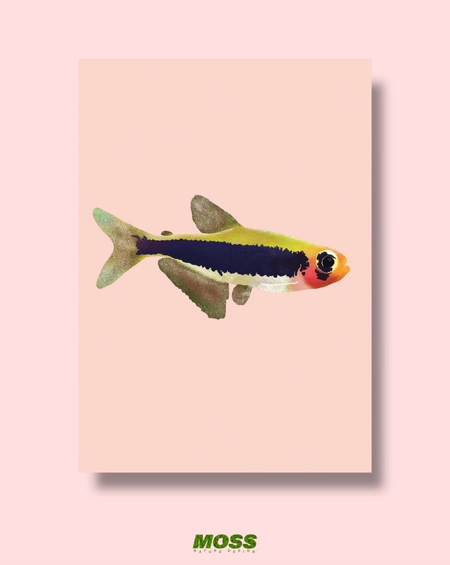 Tucano Tetra A3 Print