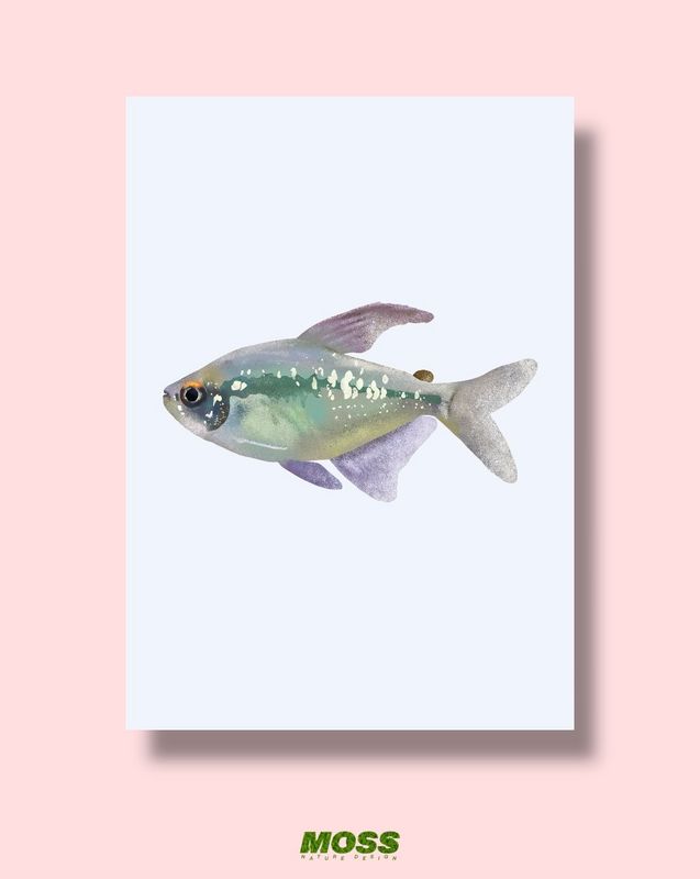Diamond Tetra A3 Print