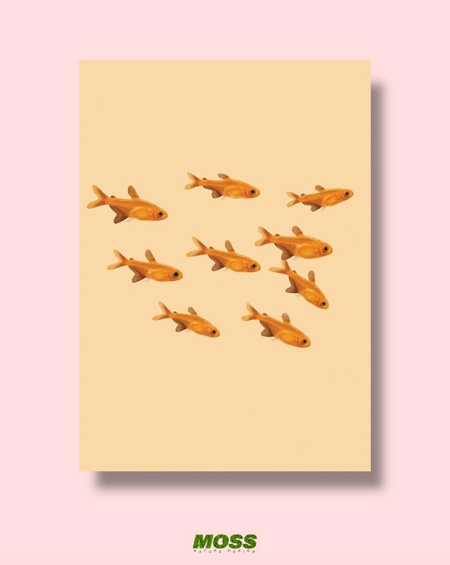 Ember Tetra Shoal A3 Print