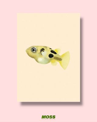 Pea Puffer A3 Print