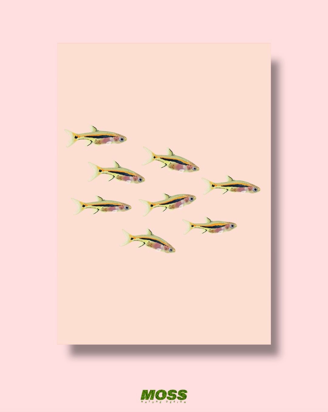 Least Rasbora Shoal A3 Print