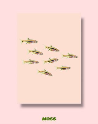 Least Rasbora Shoal A3 Print