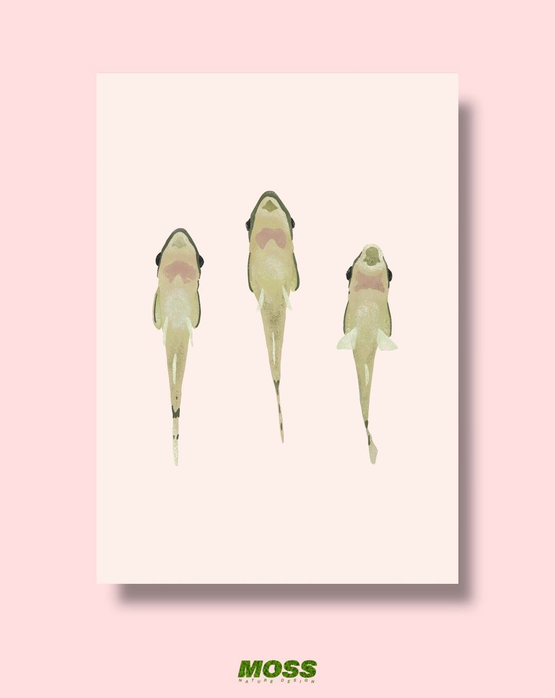 Otocinclus Trio A4 Print