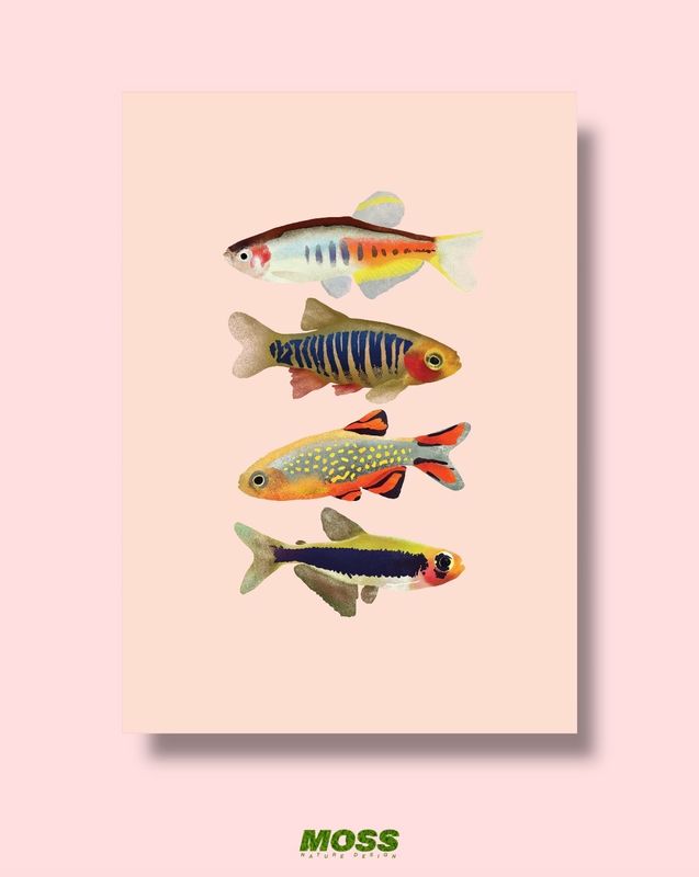 Nano Fish A4 Print