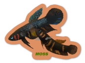 Betta Hendra Sticker