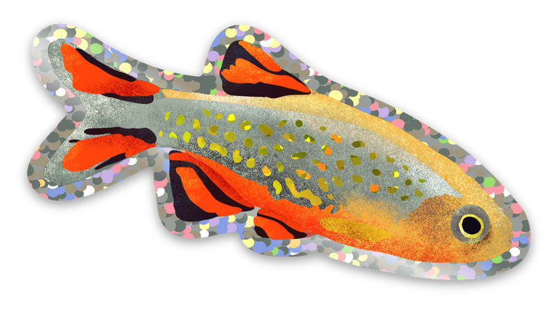 Celestial Pearl Danio Glitter Sticker