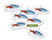 Neon Tetra Shoal Sticker