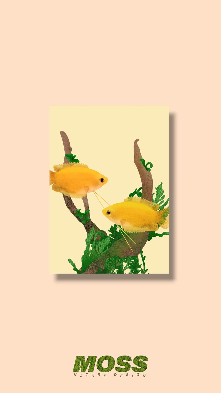 Honey Pair A5 Print