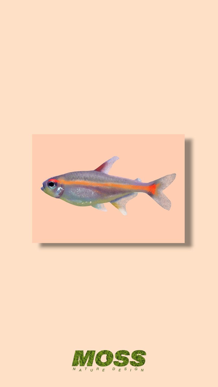 Glowlight Tetra A5 Print