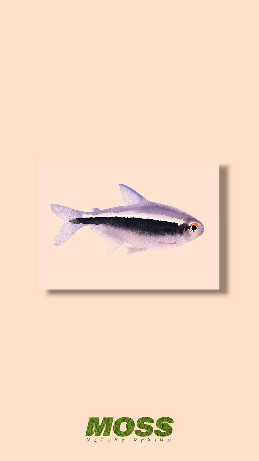 Black Neon Tetra A5 Print
