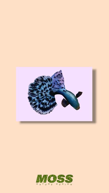 Mosaic Guppy A5 Print