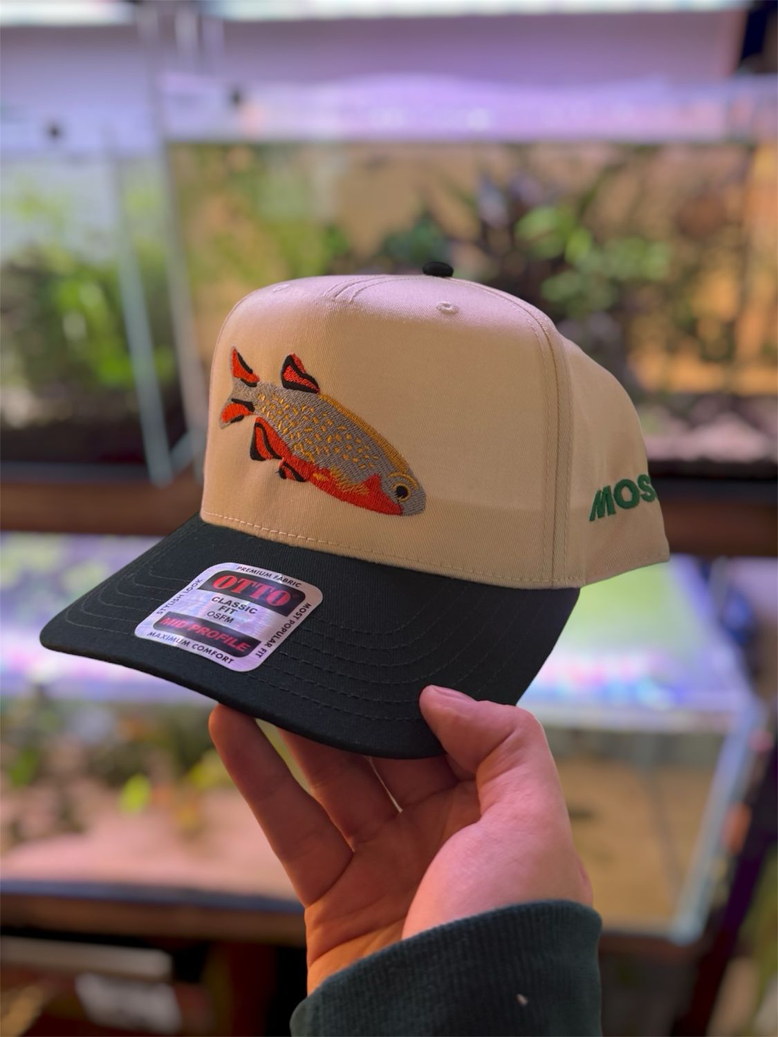 Celestial Pearl Danio 5 panel cap