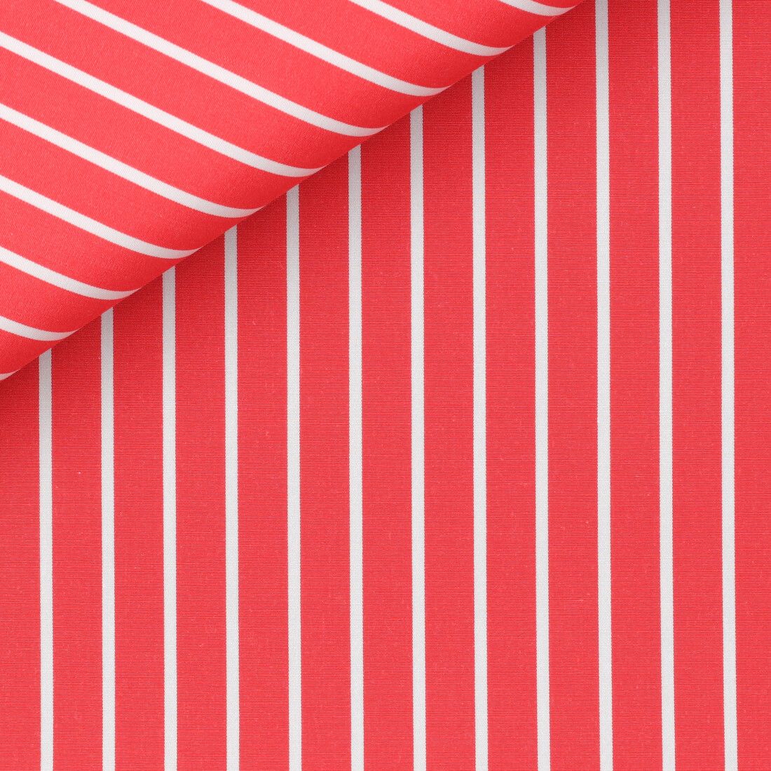 Downing 100% Cotton 120/2