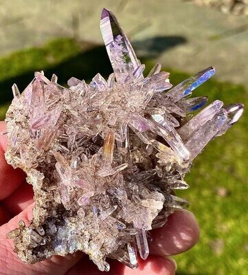 Amethyst Gruppe Veracruz Mexiko