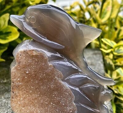 Delphin Achat/Chalcedon mit Druse