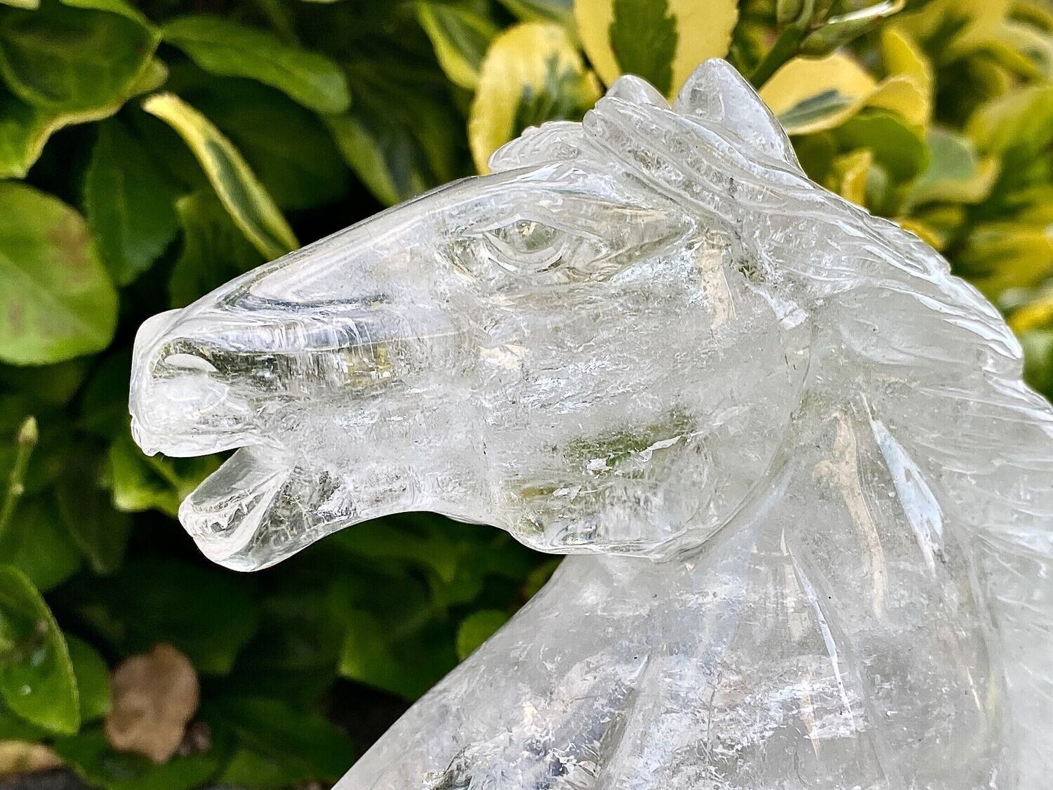 Grosser Bergkristall Pferde Kopf 10,3 cm