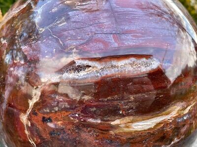 Gewaltige Versteinerte Holz Kugel 13,8 cm