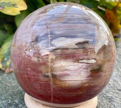 Versteinerte Holz Kugel 9,4 cm