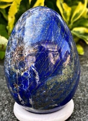 Fantastisches Grosses AAA Lapis Lazuli Ei