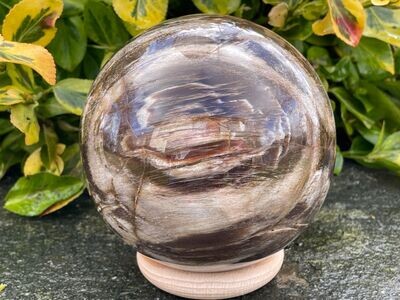 Fantastische AAA Versteinerte Holz Kugel 11,5 cm