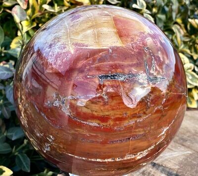Gewaltiges Versteinertes Holz 17cm 6,3Kg