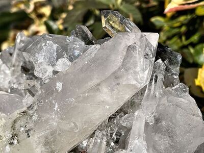 Glasklare Bergkristall Gruppe mit Chlorit Einschlüssen
