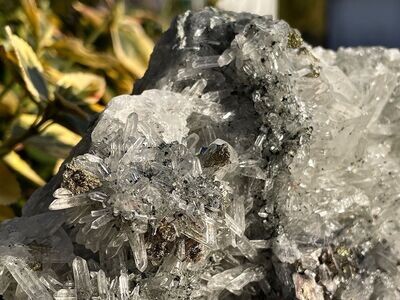 Nadelkristall mit Glanzvollen Pyriten und Bleiglanz