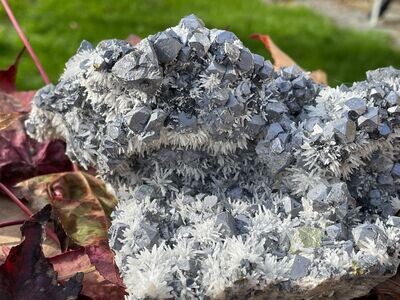 Sensationelle Galenit Stufe mit Igel Nadel Calcite