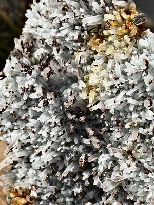 Fantastische Nadel Calcit Platte mit eingeschlossenen Pyriten