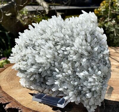 Fantastische Grosse Nadelkristall Gruppe 20 cm