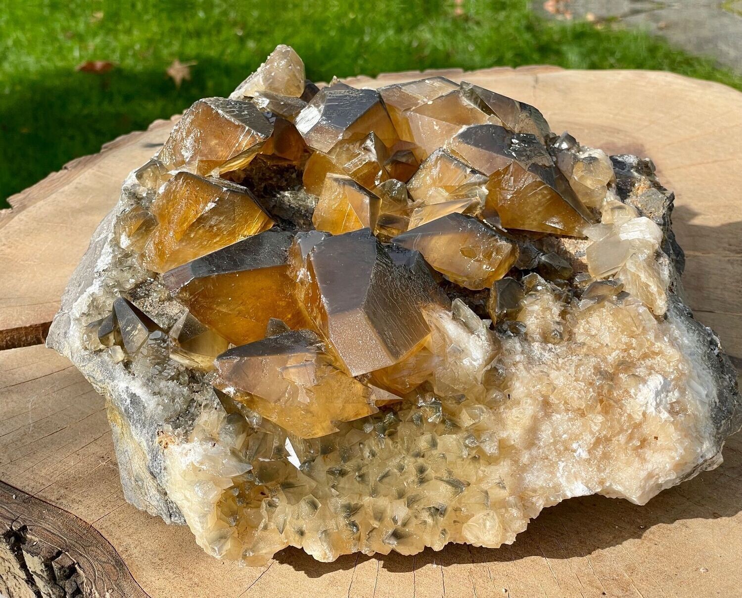 AAA Gold-Calcit, Extra Quality Hundezahn auf Matrix