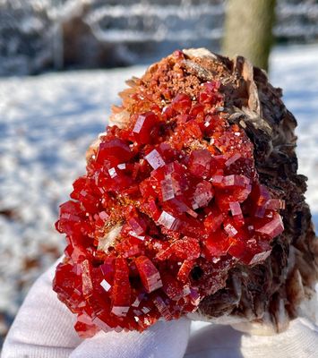 Seltener Blutroter Vanadinit mit Baryt auf Matrix