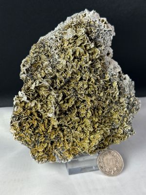 Fantastische Stufe mit Pyrit Staub