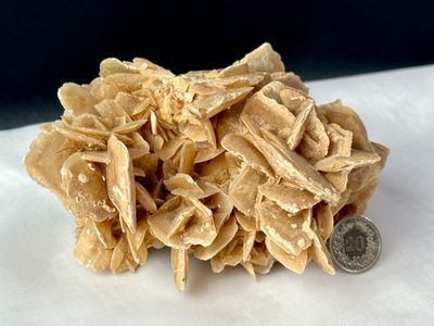 Grosse Sandrose / Wüstenrose 14,3 x 9,5 cm