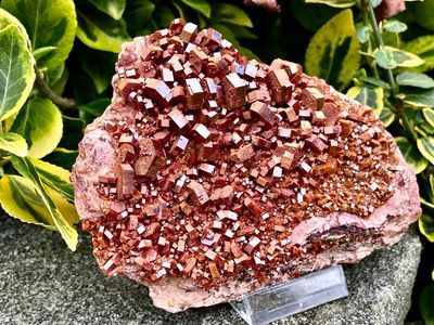 Wunderschöne Vanadinit Kristallstufe 435 gramm
